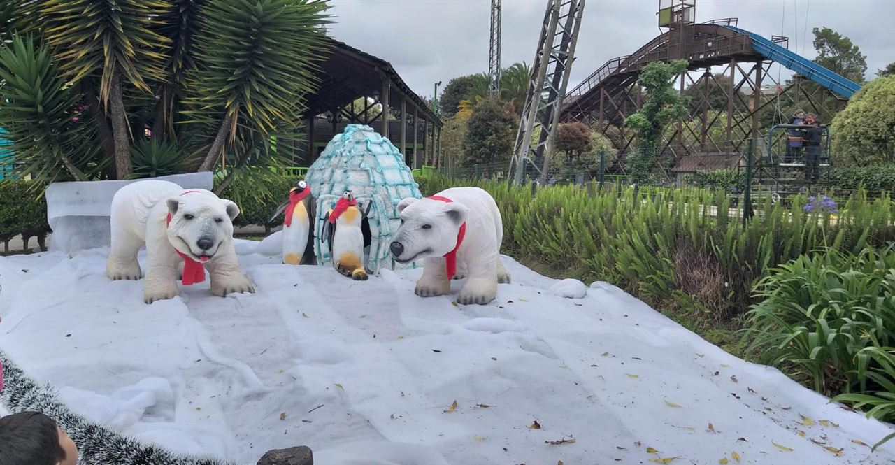 Decoración de osos polares y pingüinos en el parque durante las Vacaciones Recreativas, Fundación Rosas del Carmelo, Bogotá